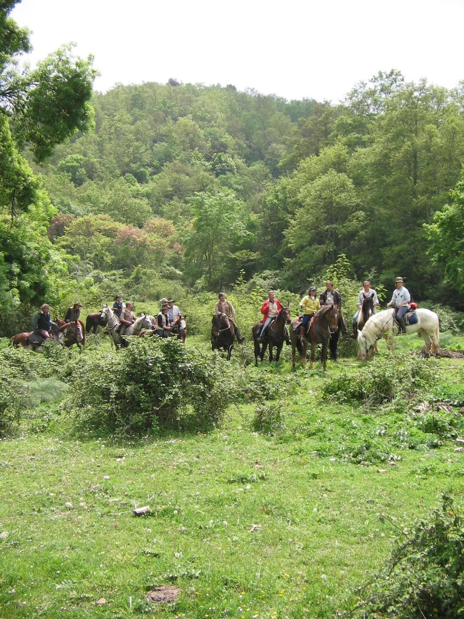 Agriturismo Casale Bonaparte Cellere Buitenkant foto