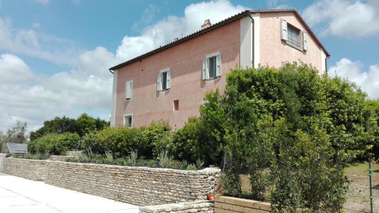 Agriturismo Casale Bonaparte Cellere Buitenkant foto